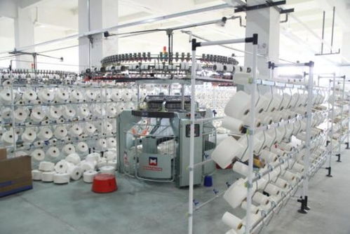 援疆暖民心 台州助力新疆兵团第一师阿拉尔市民生发展技术开发纪实