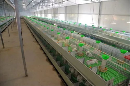 接烟不看牌子，吃饭不擦筷子，通江网红书记如何用技术开发成为群众贴心人？